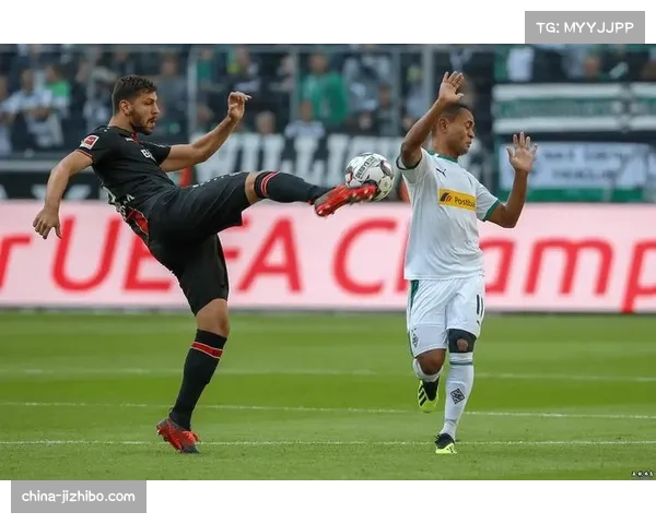 伤病球员恢复情况更新：德甲各队医疗团队技术应用